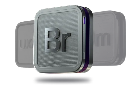 Enterprise Branding & Identity: