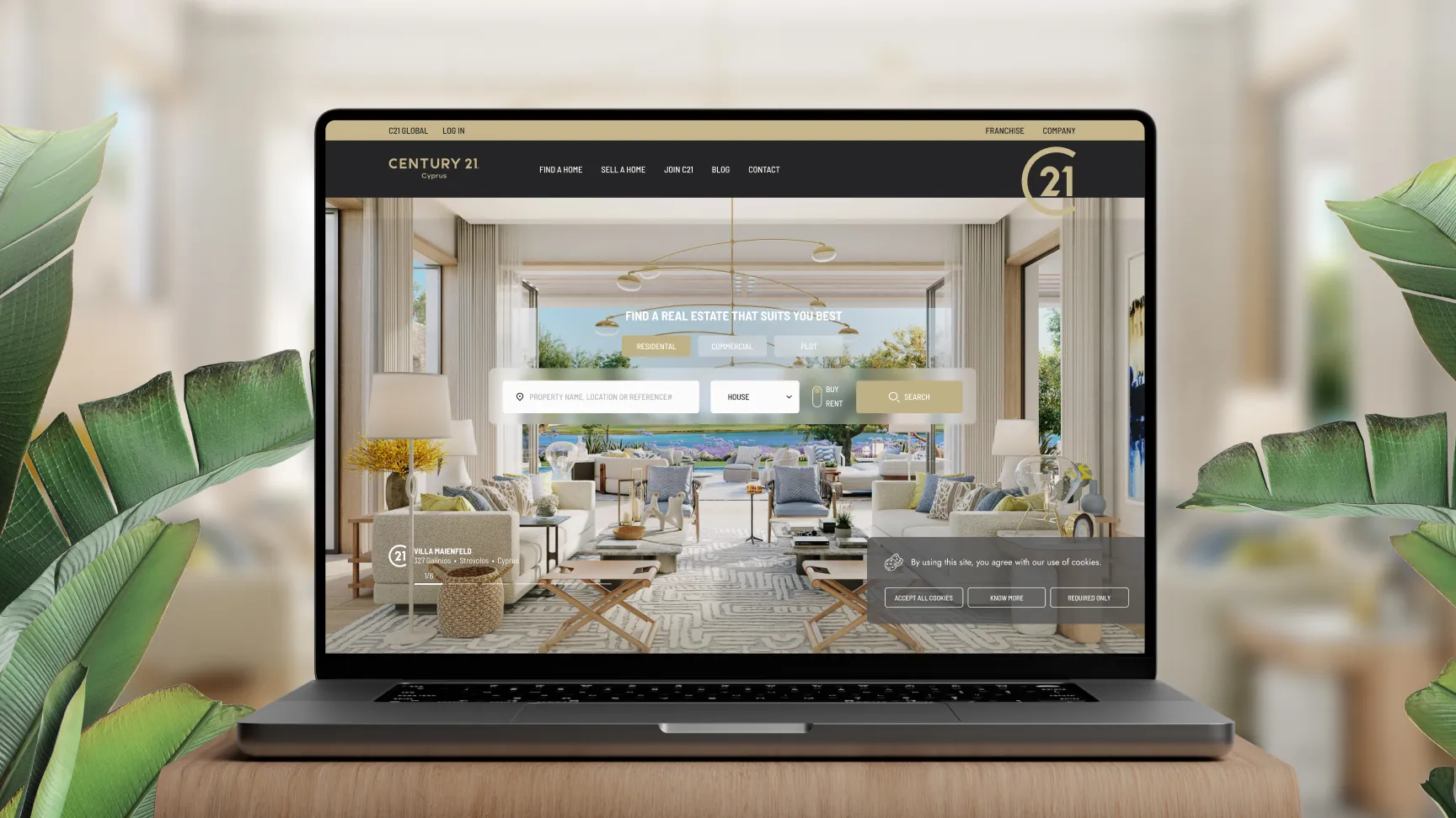 website-intro-banner